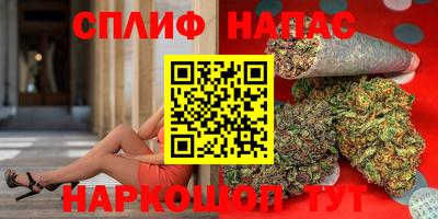 гидра Новодвинск