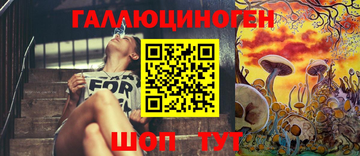 Тосно  Псилоцибиновые грибы MAGIC MUSHROOMS  Вход с VPN 